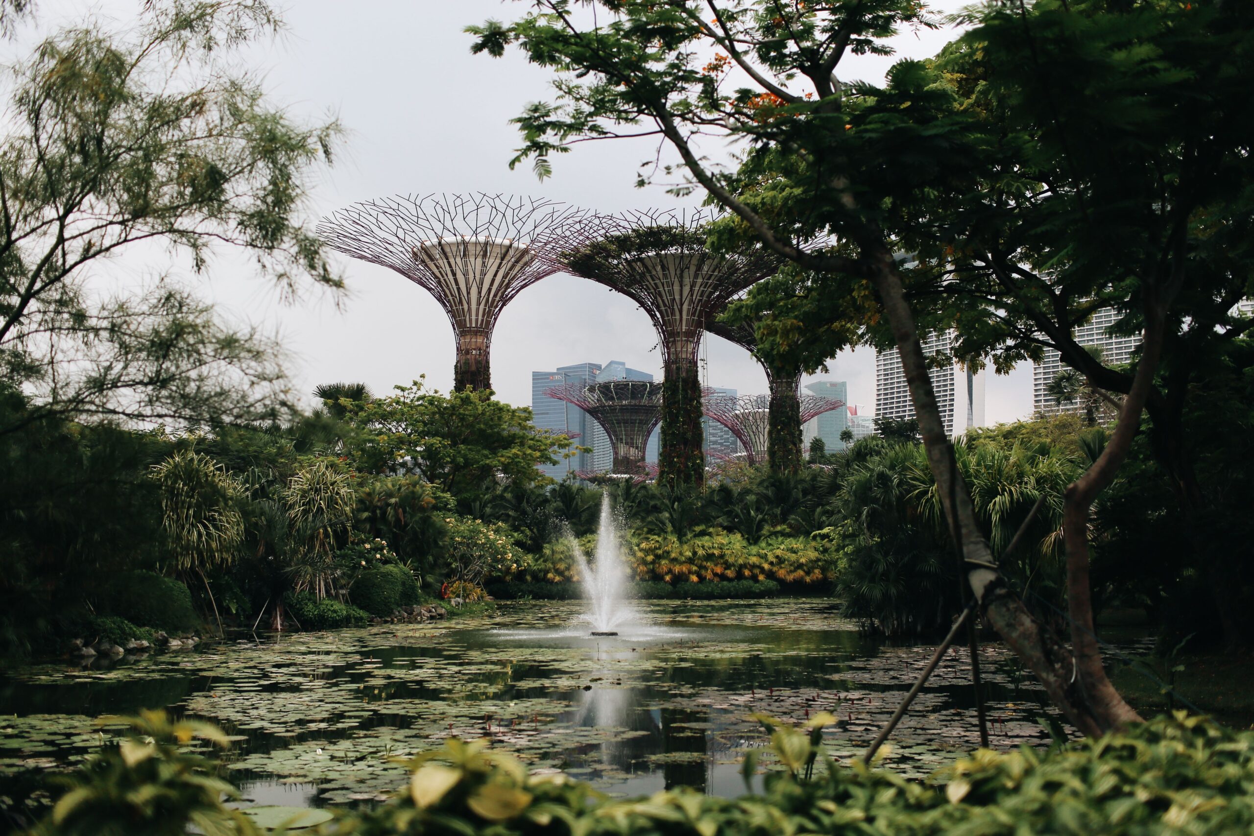 Auf dem Bild sehen Sie die Supertrees, Grünflächen und einen Brunnen in Gardens by the Bay; die Parkanlage ist über das MRT-Netz gut erreichbar.
